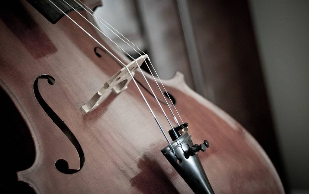 Guide pour bien installer votre violoncelle